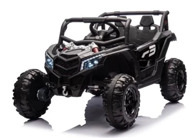 Пляжный багги 24 В UTV